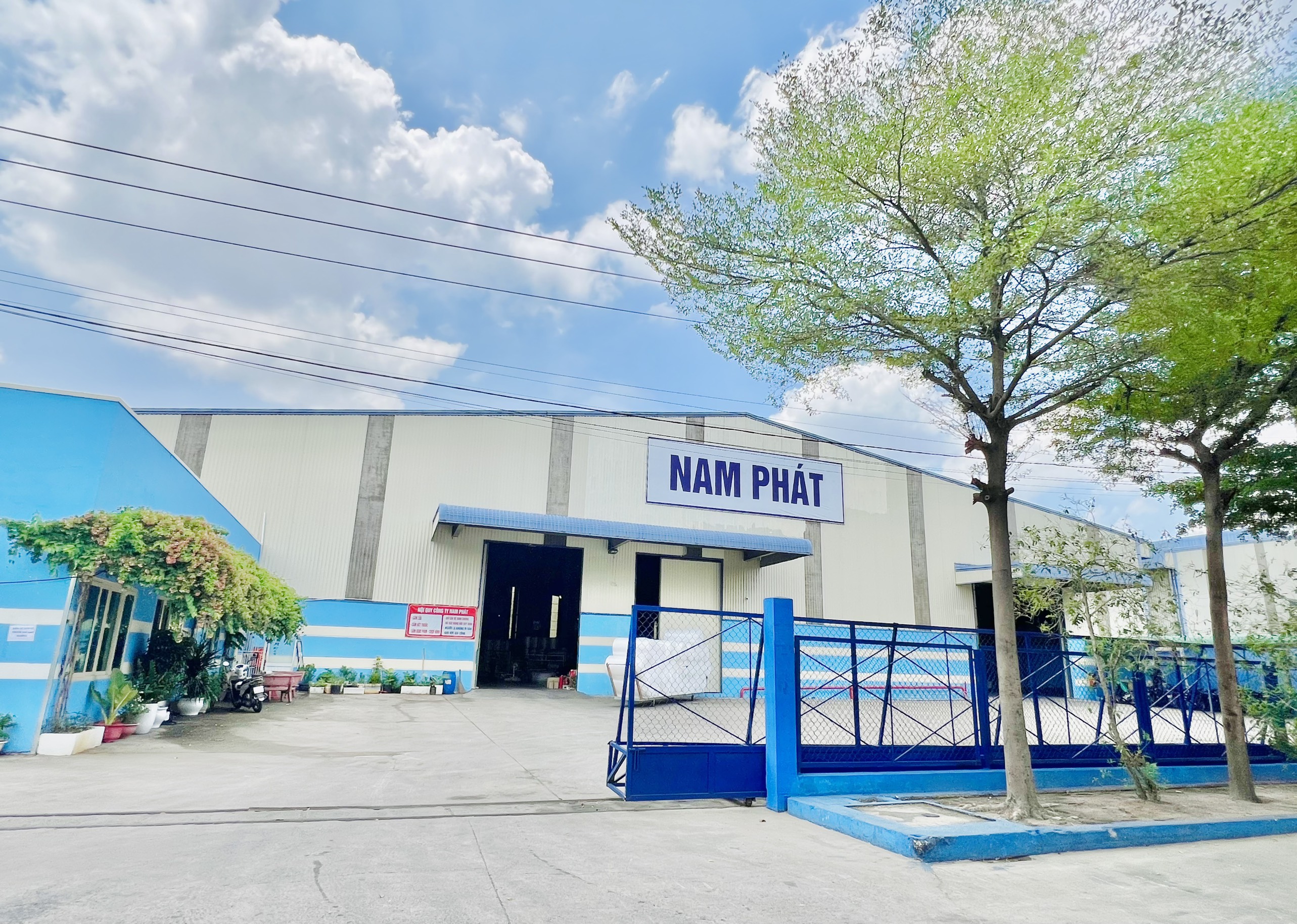 mut xop nam phat