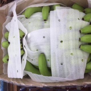 Tấm Foam Lót Chuối Xuất Khẩu