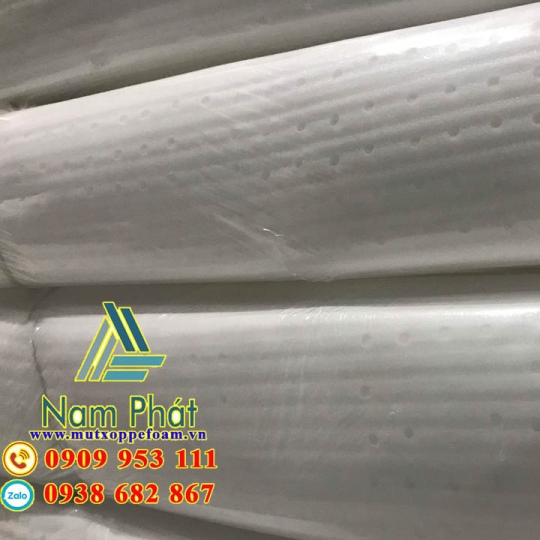 Tấm Foam Lót Xoài
