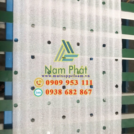 Tấm Foam Lót Xoài
