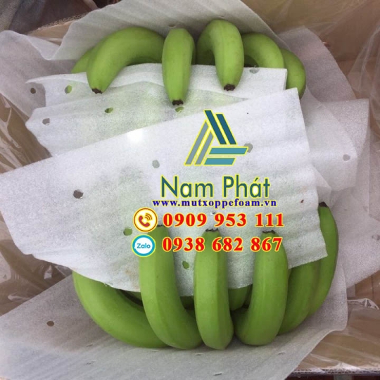 Tấm Foam Lót Chuối Xuất Khẩu