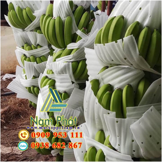 Tấm Foam Lót Chuối Xuất Khẩu