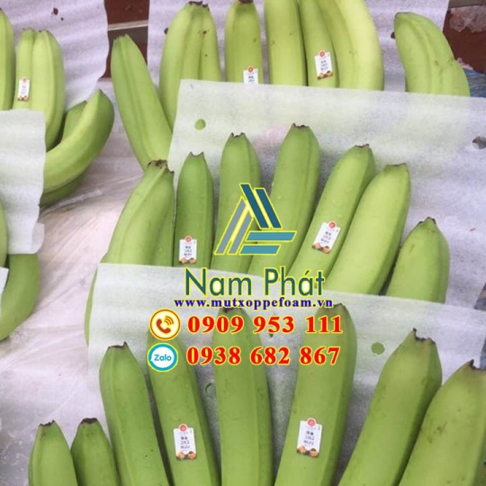 Tấm Foam Lót Chuối Xuất Khẩu